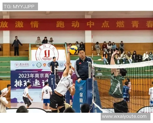 杭州排球队逆袭之路揭秘钻石联赛特别报道展现团队精神与奋斗历程